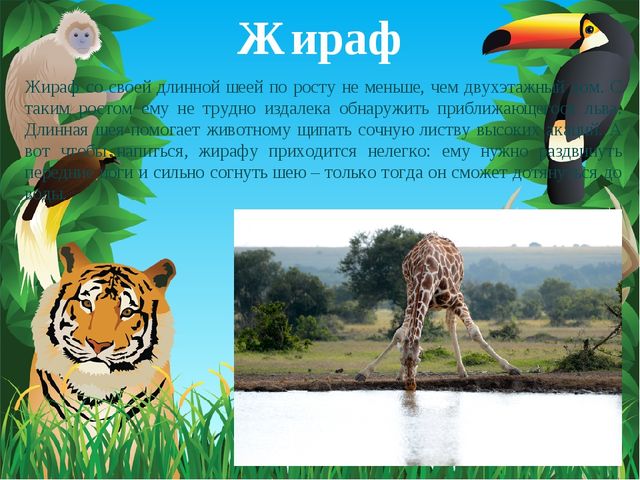 Животные Африки. Презентация по окружающему миру