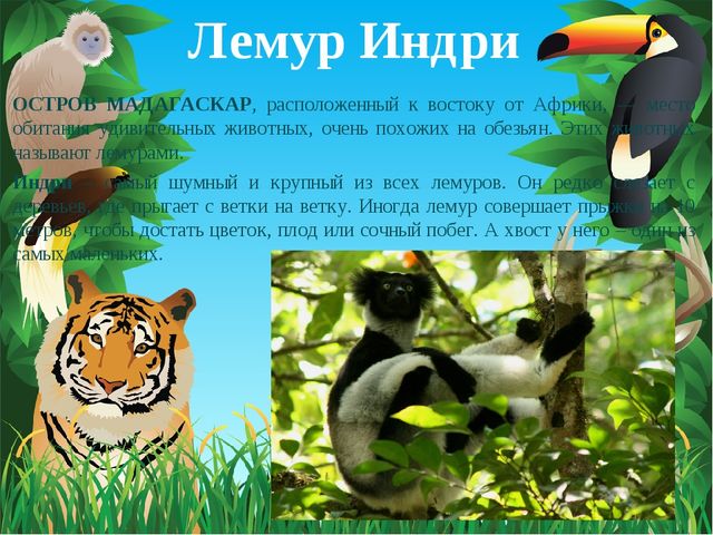 Животные Африки. Презентация по окружающему миру
