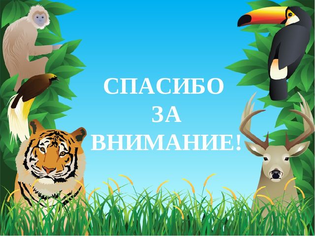 Животные Африки. Презентация по окружающему миру