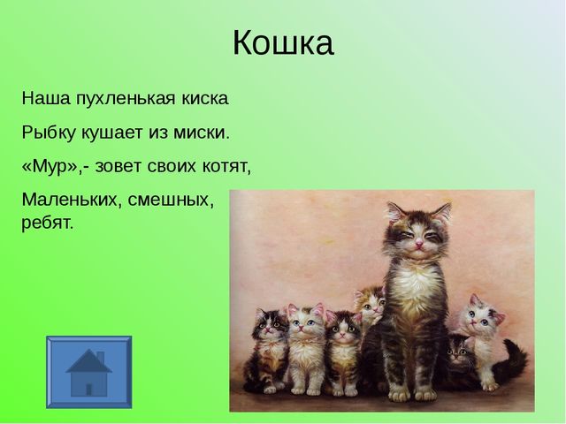 У кого какая мама. Презентация для дошкольников