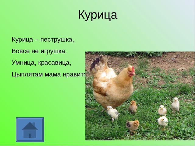 У кого какая мама. Презентация для дошкольников