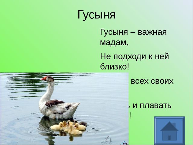 У кого какая мама. Презентация для дошкольников