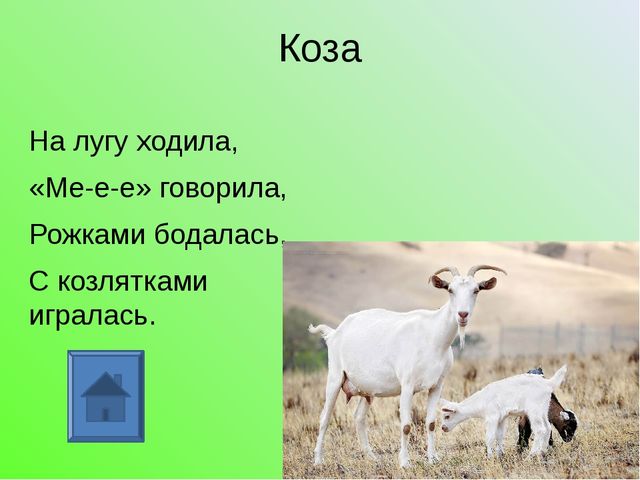 У кого какая мама. Презентация для дошкольников