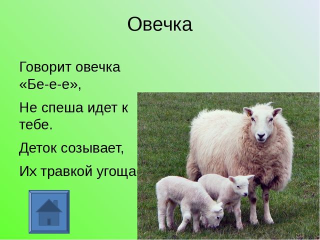 У кого какая мама. Презентация для дошкольников