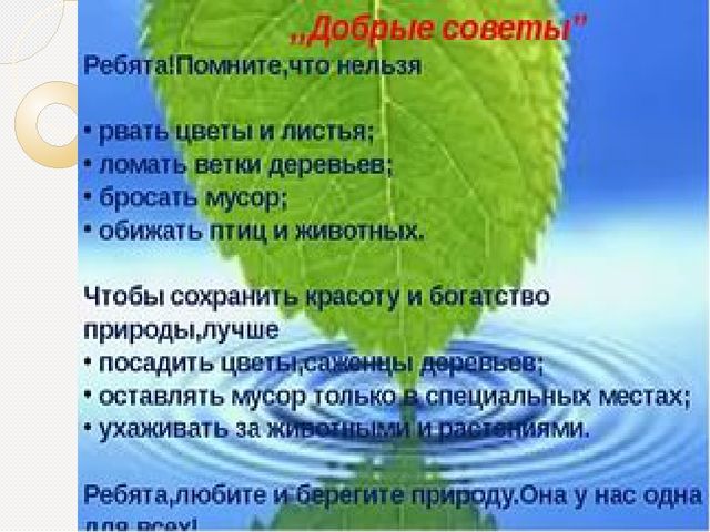 Охрана природы. Презентация