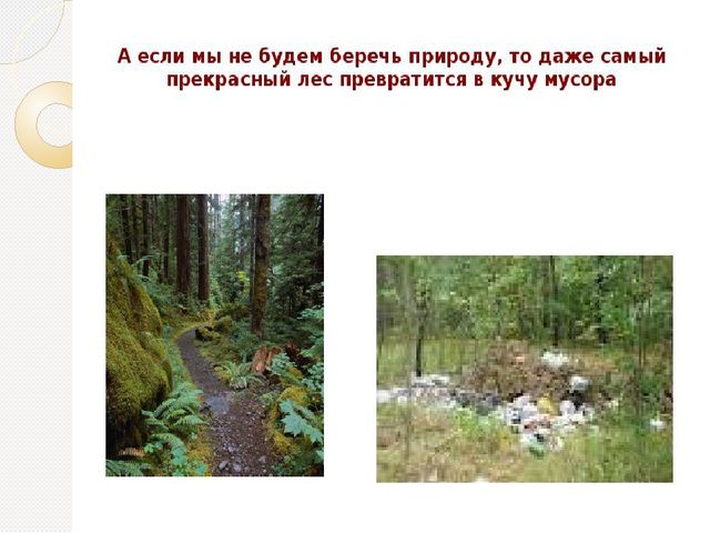 Охрана природы. Презентация