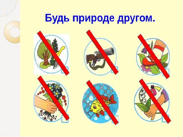 Охрана природы. Презентация