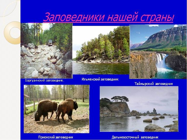 Охрана природы. Презентация