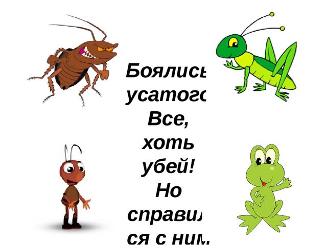 Загадки по сказкам Чуковского для младшего дошкольного возраста