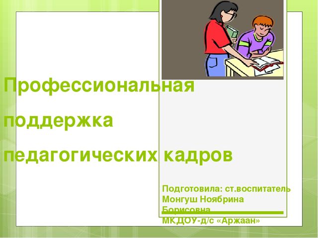 Профессиональная поддержка педагогических кадров