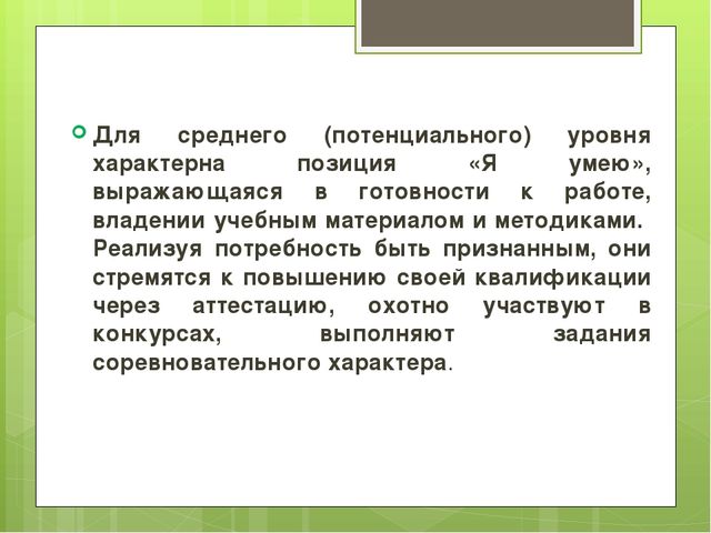 Профессиональная поддержка педагогических кадров