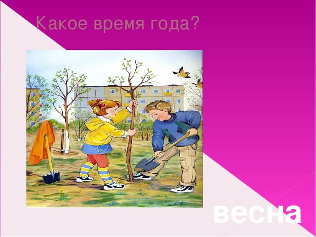 Подбор одежды по сезону. Презентация