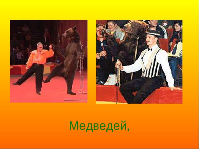 Презентация ко дню цирка