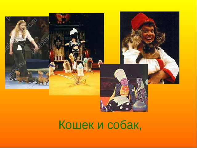 Презентация ко дню цирка