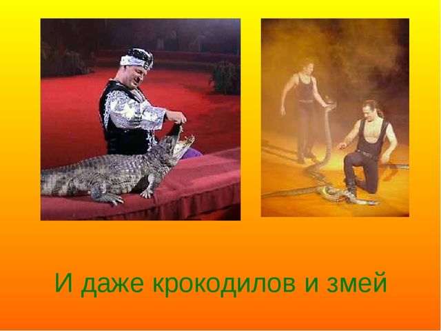 Презентация ко дню цирка