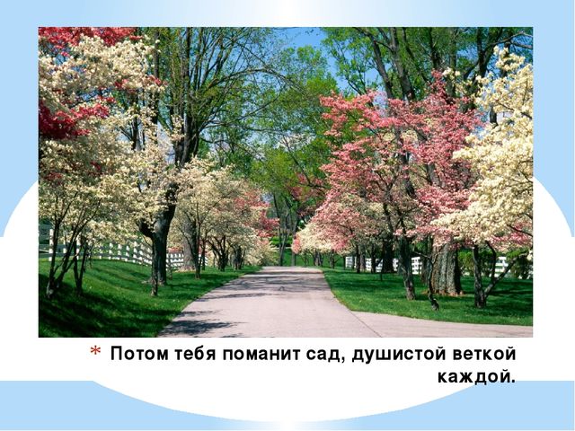Россия - Родина моя подготовительная группа