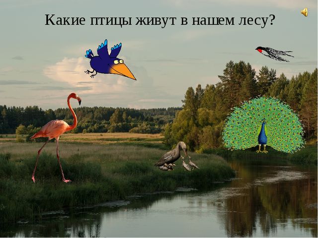 В мире животных. Дидактическая игра с применением ИКТ