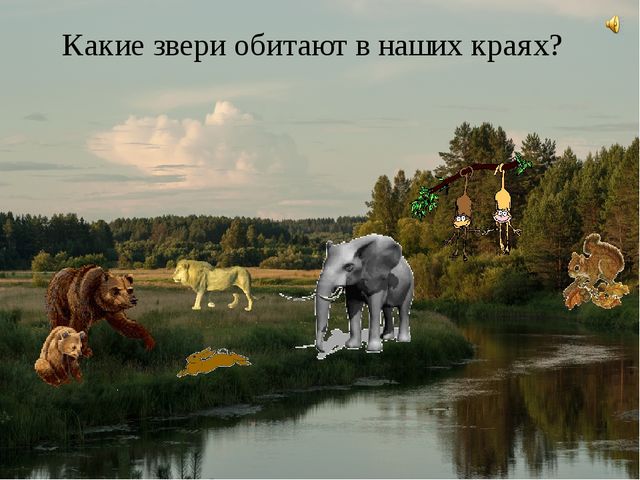 В мире животных. Дидактическая игра с применением ИКТ