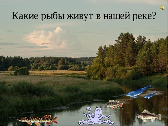 В мире животных. Дидактическая игра с применением ИКТ
