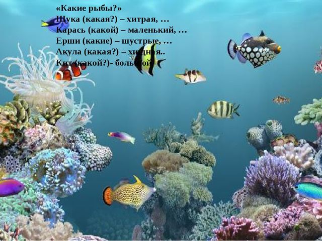 Логочас для детей старшего дошкольного возраста в речевой группе