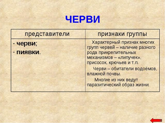 Разнообразие животных. Презентация по ознакомлению с окружающим миром