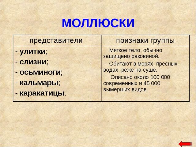 Разнообразие животных. Презентация по ознакомлению с окружающим миром