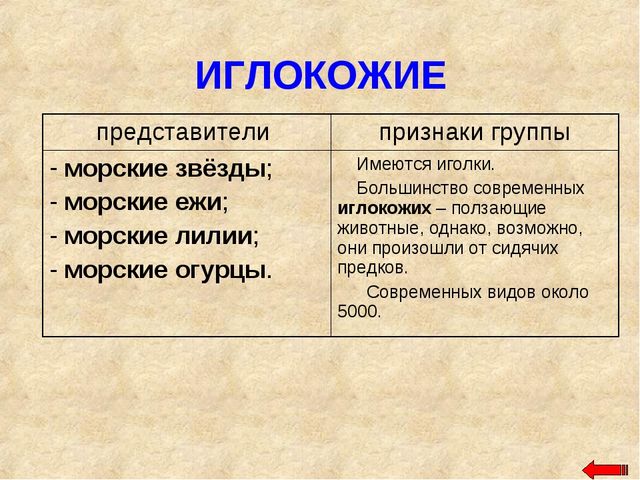 Разнообразие животных. Презентация по ознакомлению с окружающим миром