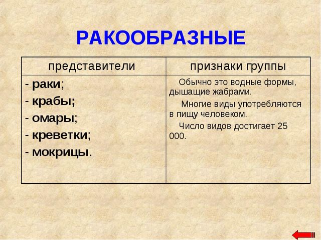 Разнообразие животных. Презентация по ознакомлению с окружающим миром