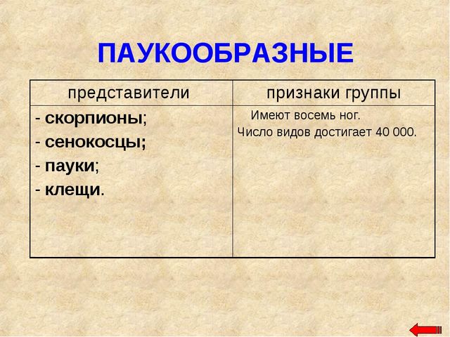 Разнообразие животных. Презентация по ознакомлению с окружающим миром