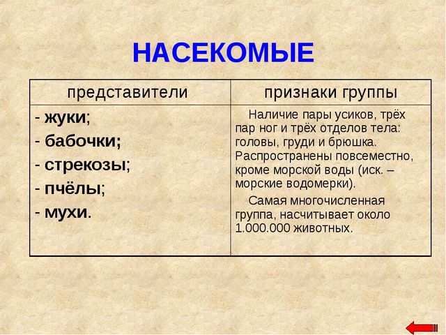 Разнообразие животных. Презентация по ознакомлению с окружающим миром