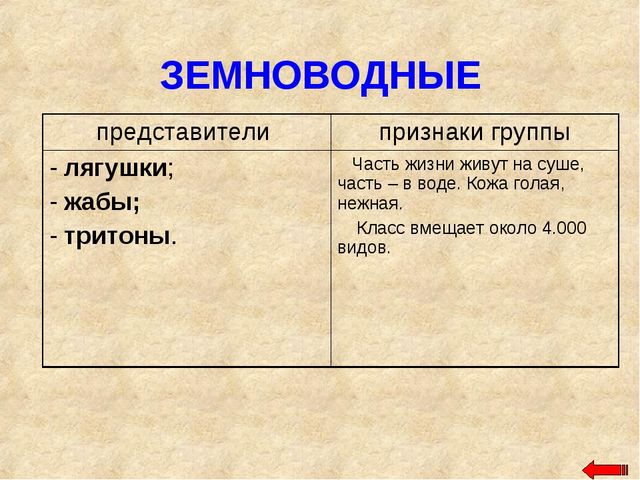 Разнообразие животных. Презентация по ознакомлению с окружающим миром