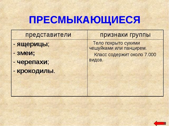 Разнообразие животных. Презентация по ознакомлению с окружающим миром