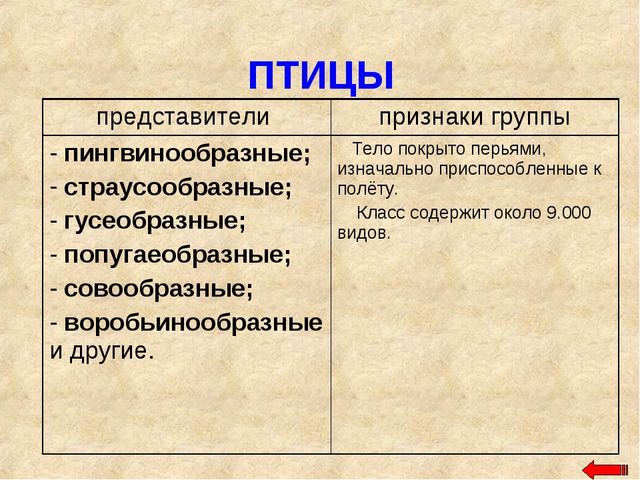 Разнообразие животных. Презентация по ознакомлению с окружающим миром