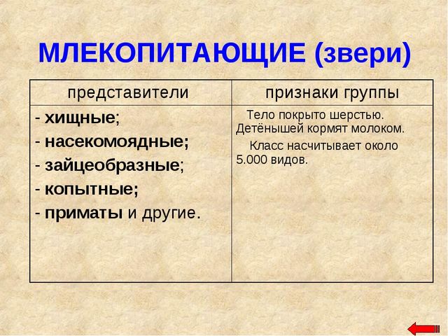 Разнообразие животных. Презентация по ознакомлению с окружающим миром