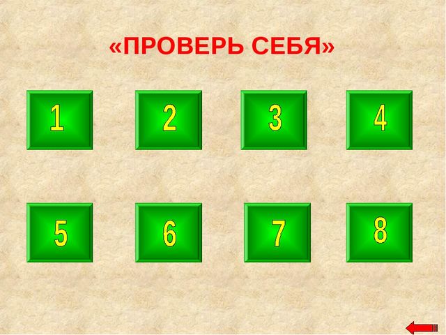 Разнообразие животных. Презентация по ознакомлению с окружающим миром