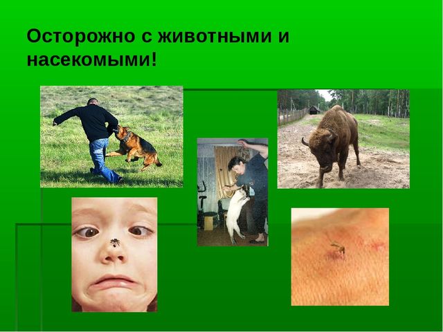 Азбука безопасности для детей 6-7 лет