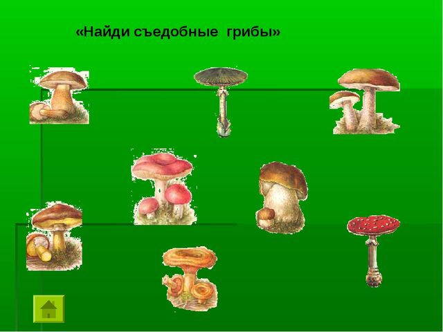 Азбука безопасности для детей 6-7 лет