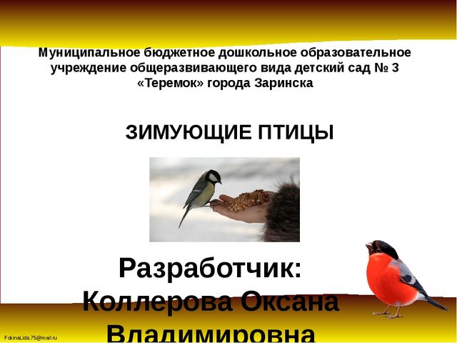 Зимующие птицы. Презентация для детей дошкольников