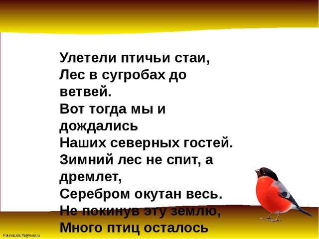 Зимующие птицы. Презентация для детей дошкольников