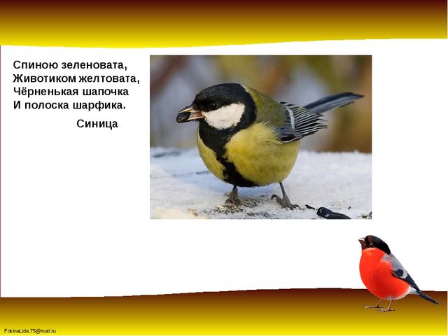 Зимующие птицы. Презентация для детей дошкольников