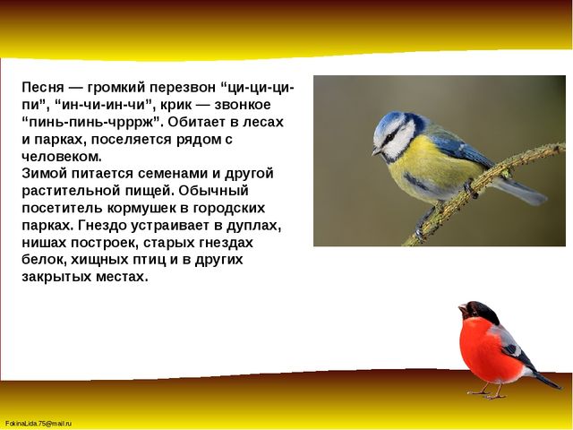 Зимующие птицы. Презентация для детей дошкольников