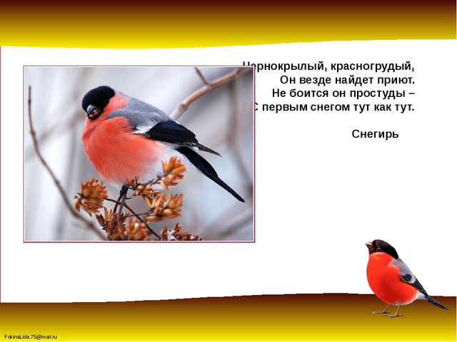 Зимующие птицы. Презентация для детей дошкольников