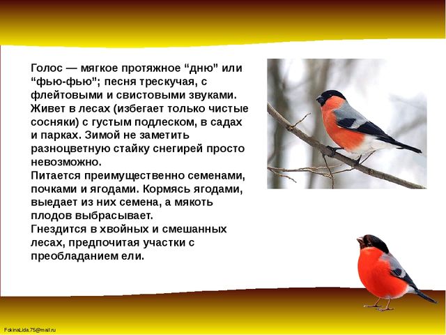 Зимующие птицы. Презентация для детей дошкольников