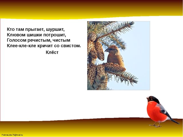 Зимующие птицы. Презентация для детей дошкольников