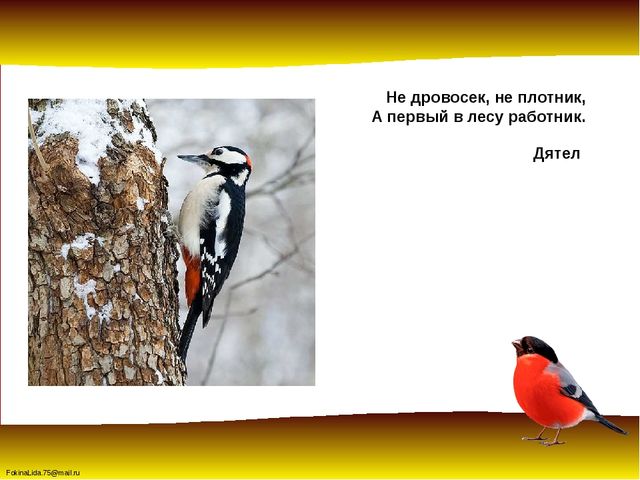 Зимующие птицы. Презентация для детей дошкольников