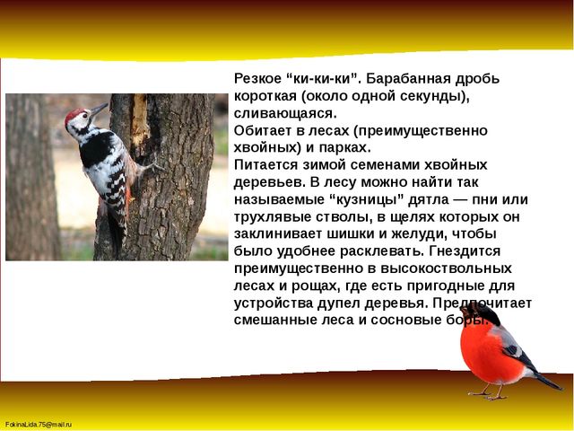 Зимующие птицы. Презентация для детей дошкольников