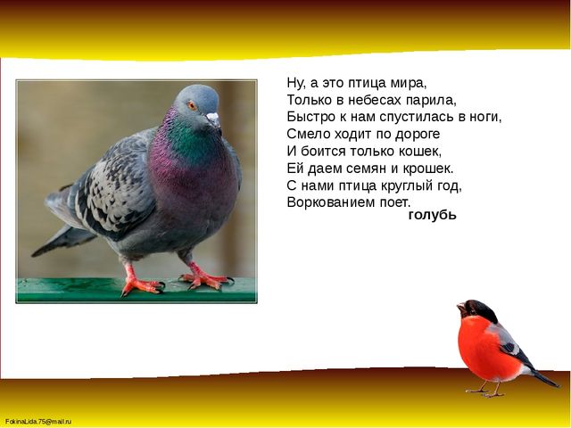 Зимующие птицы. Презентация для детей дошкольников