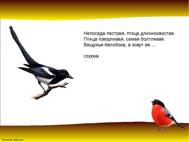 Зимующие птицы. Презентация для детей дошкольников