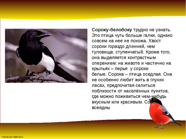 Зимующие птицы. Презентация для детей дошкольников