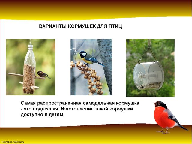 Зимующие птицы. Презентация для детей дошкольников